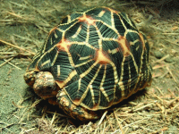 说明: E:\挛摸ㄢ聪摸800贺瓜挪\viewthread.php_files\339247_200805111831591YmT7.gif