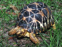 说明: E:\挛摸ㄢ聪摸800贺瓜挪\viewthread.php_files\339247_200805112215441hmqk.gif