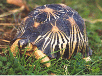 说明: E:\挛摸ㄢ聪摸800贺瓜挪\viewthread.php_files\339247_200805121316501ytxn.gif